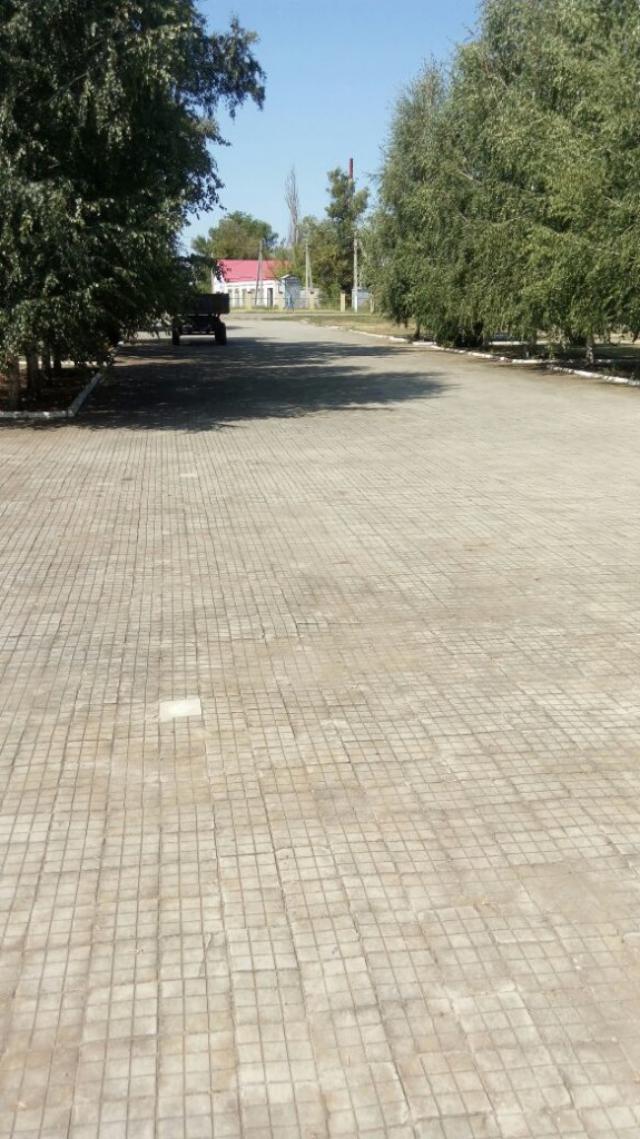 IMG-20170828-WA0002-575x1024