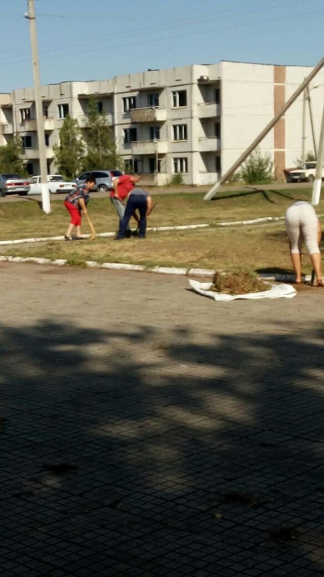 IMG-20170828-WA0006-575x1024