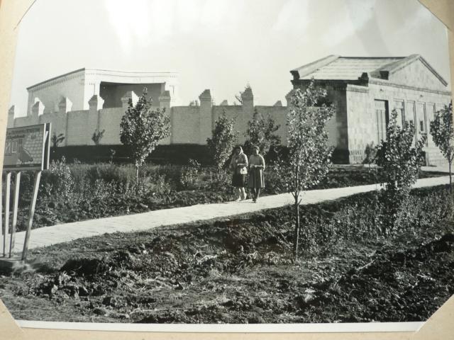 fotogra20201022 27